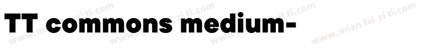TT commons medium字体转换